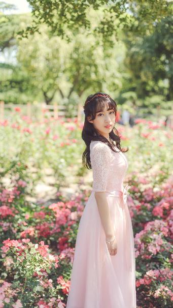 2026正版资料大全免费