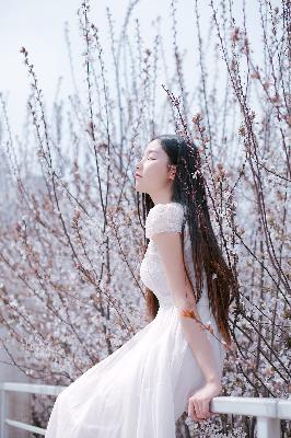 2026正版资料大全免费