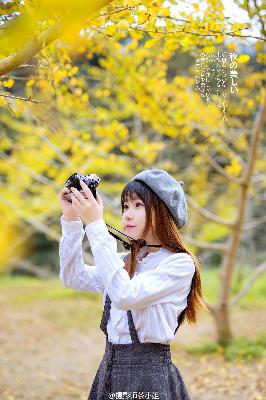 满宫春第二部40集免费观看剧情